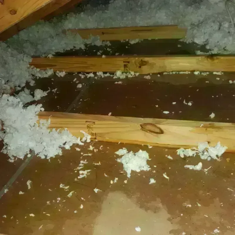 Attic Water Damage in Suwanee, GA